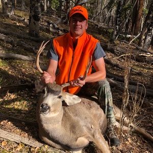 Meet your Posher, Dillon